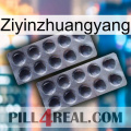 Ziyinzhuangyang 31